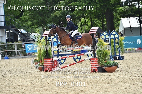 BPP_0301 - RHS 2019 Selection - *Just some random spectator shots so Lucky Dip if you are there!