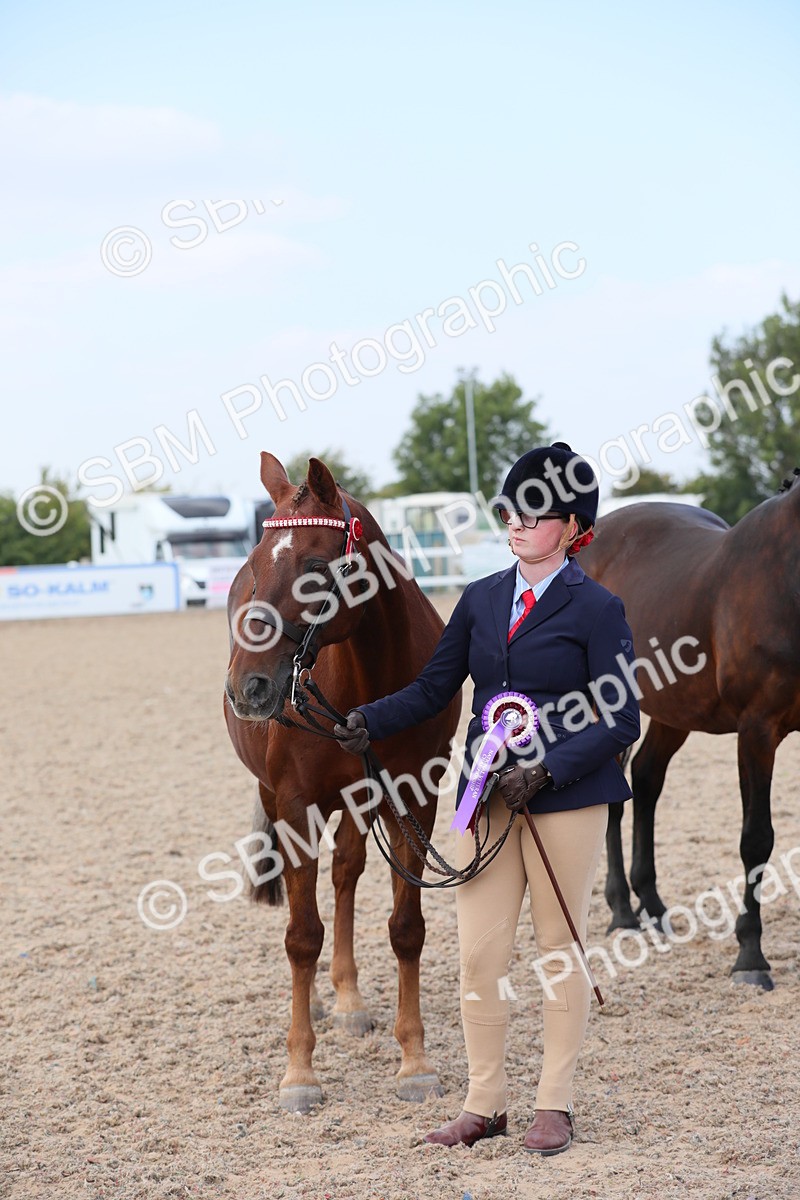 SBM_15878 - Class 312 IH Competition Horse/Pony