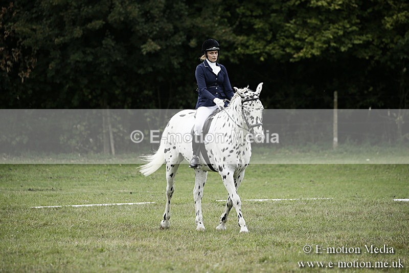 BVR080918 286 - BVRC Novice Dressage & CR 08/09/18