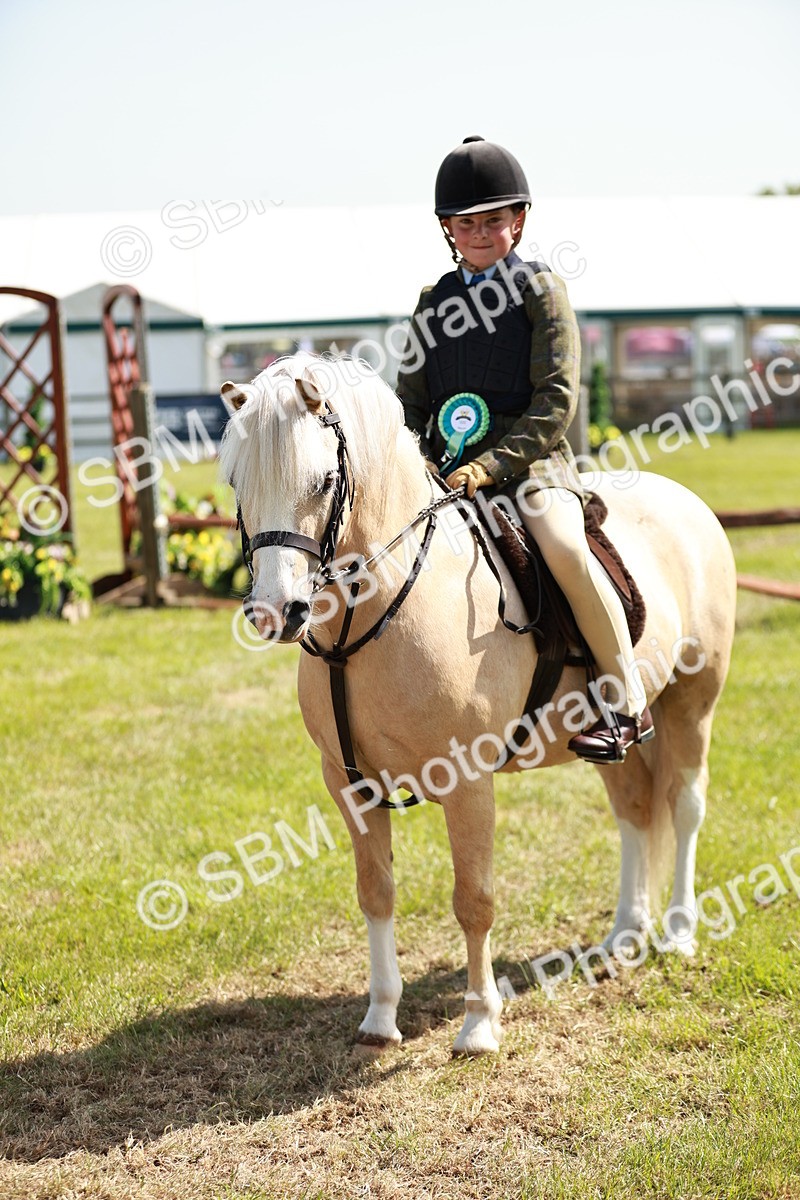 SBM_12819 - Class 106-107 - BSPS LIHS Working Sports Pony