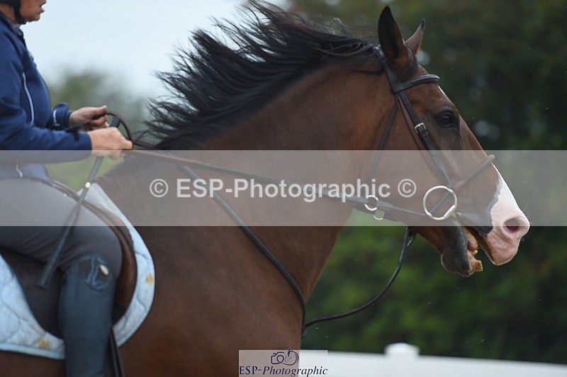 230916A-111340-03654 - Cls 21 British Novice & 90cm Open