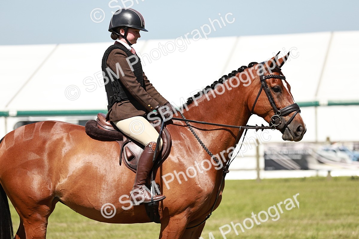 SBM_18308 - Class 112-113 - BSPS LIHS Working Sports Pony