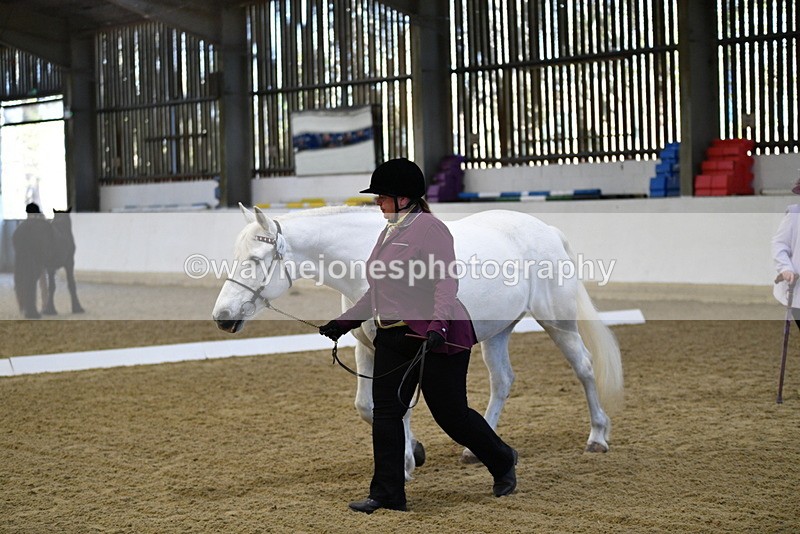 WJ5_3696 - Class 5 In Hand Veterans