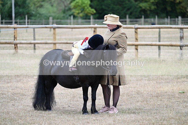 WJ7_8393 - Class 4 Prettiest Mare up to 14.2hh