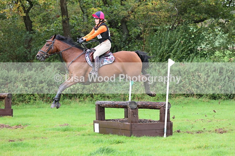 JPP_5468 - Class 5: 90cm Crossed Logs