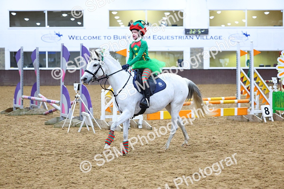 SBM_001378 - Class 3 - Christmas Tree Stakes - 60cm