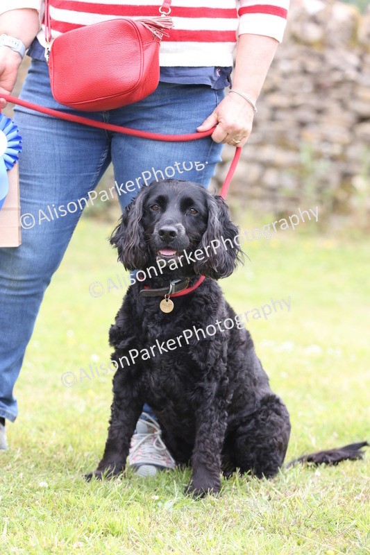 20250607-0136 - Class 2 - Gorgeous Girl