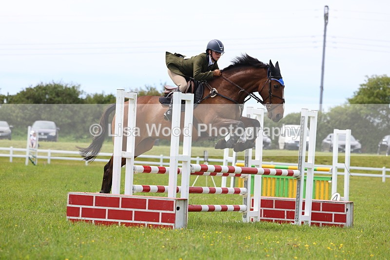 3E7A1610 - Class 13: Senior British Novice/90cm open