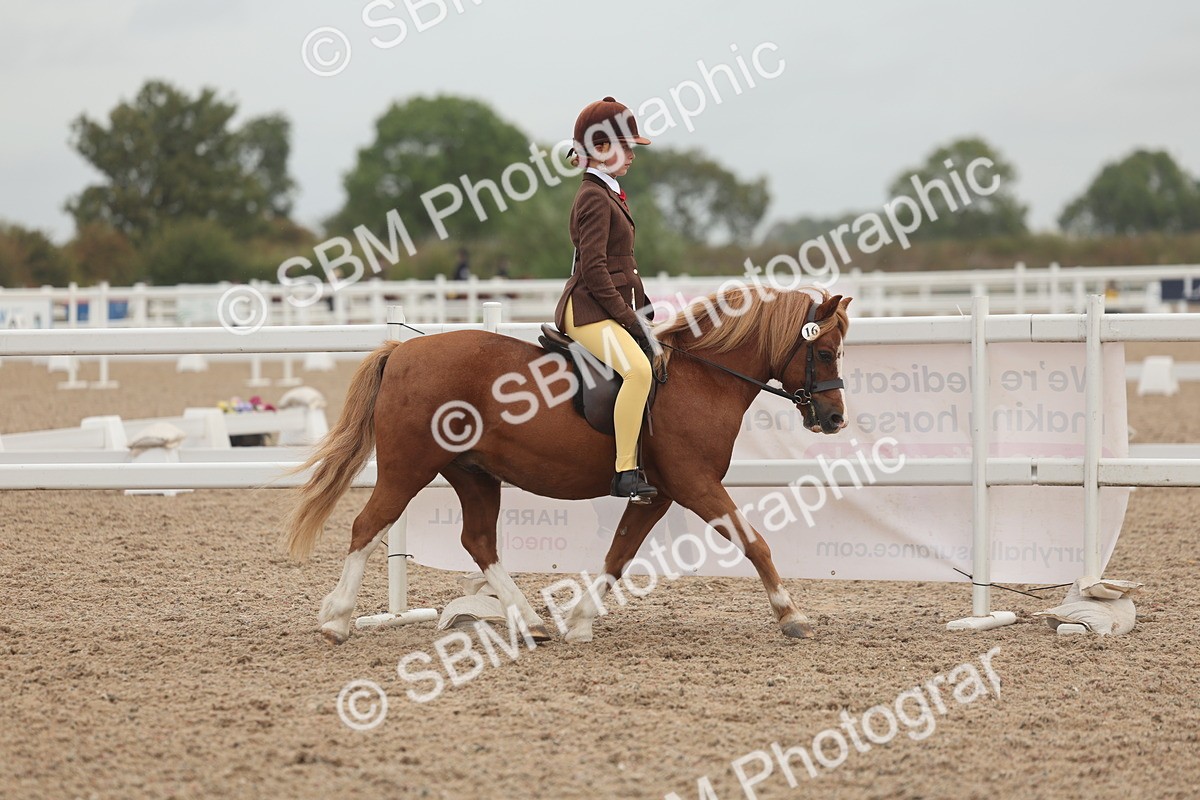 SBM_01850 - Class 14 - Ridden M&M Wildcard