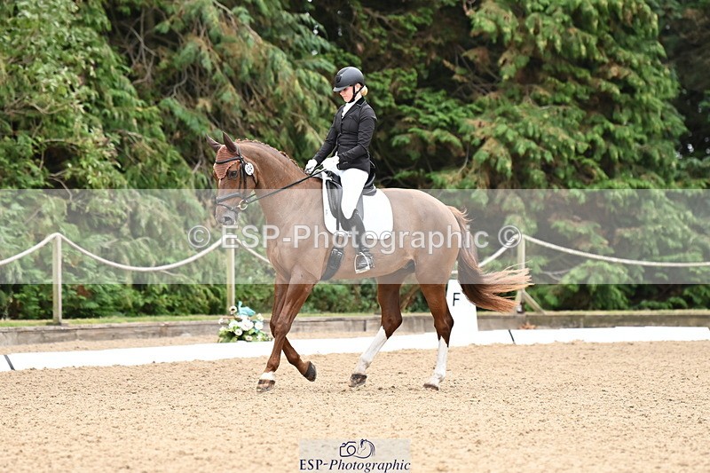 250808A-103202-00335 - 024-Daisy.Hedges-Felicia.V