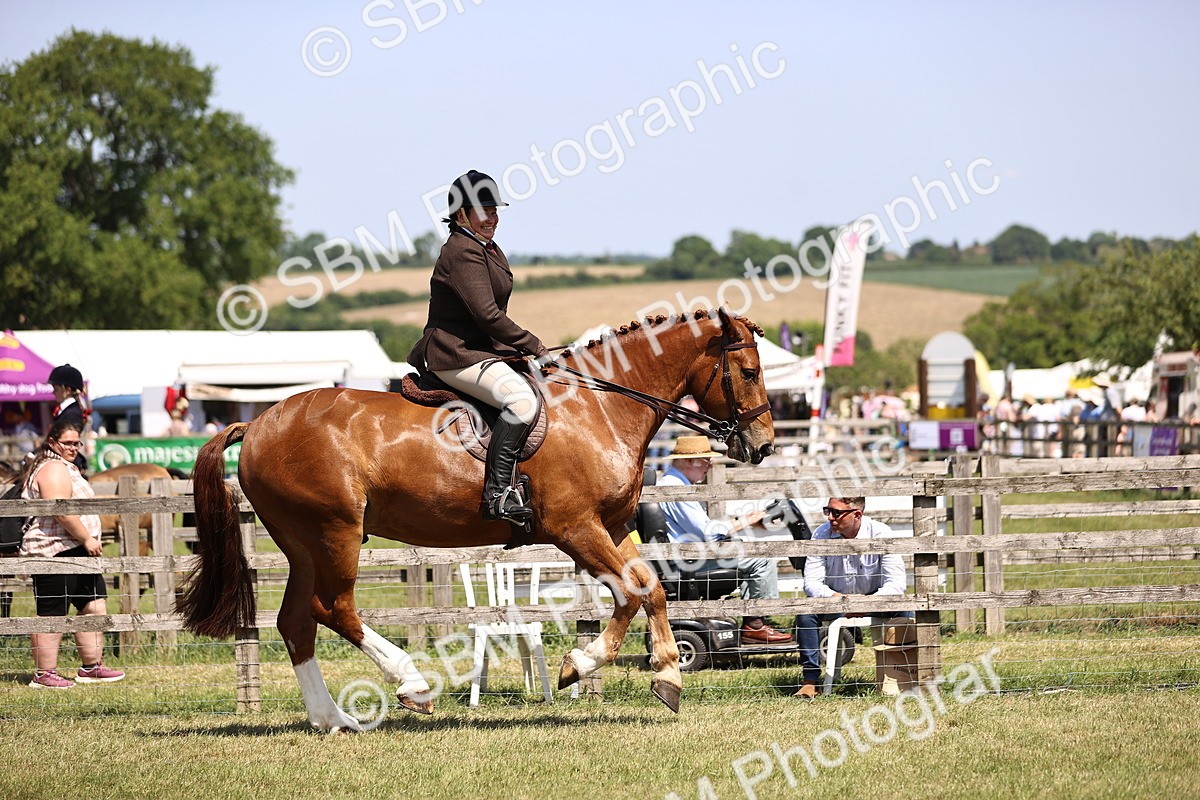 SBM_17720 - Class 81-83 - TSR Ridden Amateur of the Year - Horses