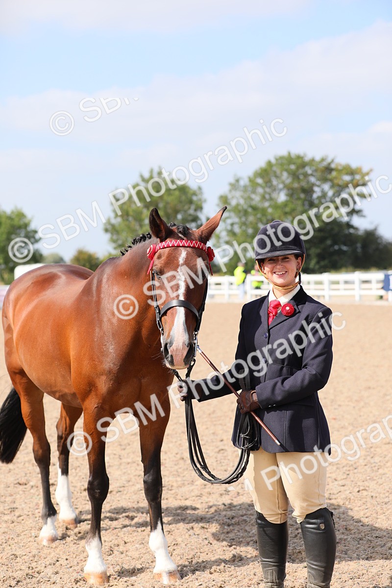 SBM_15736 - Class 312 IH Competition Horse/Pony