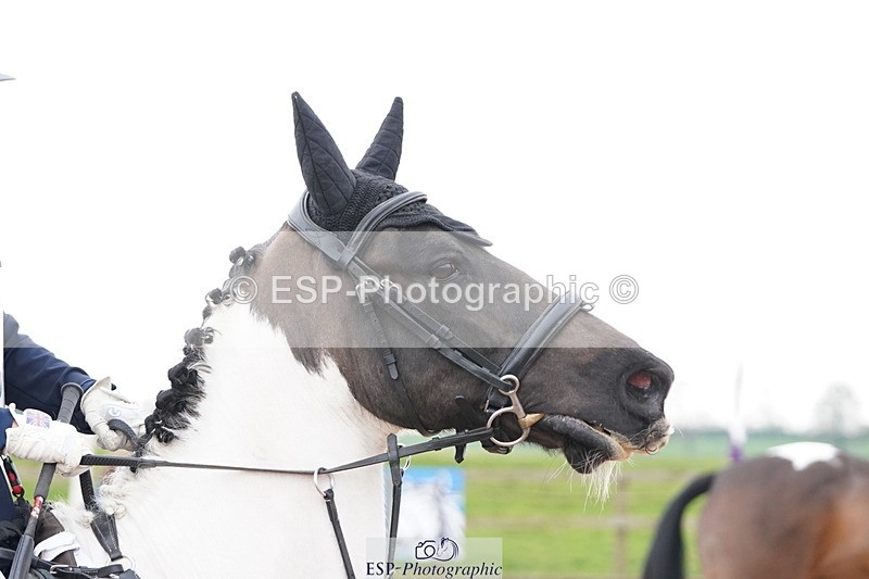 250419-125232-10909 - 802-Lily.Draper-COTTAGE.PIE