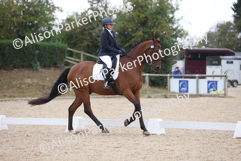 20250820-0379 - Class 11 - My Quest Novice 3