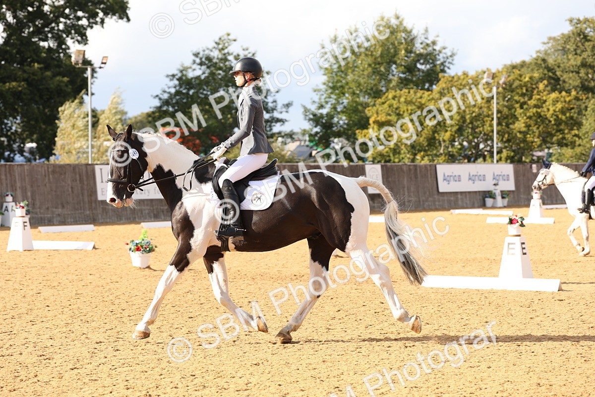 SBM_26975 - D17 - Grand Tour Championship Novice 3