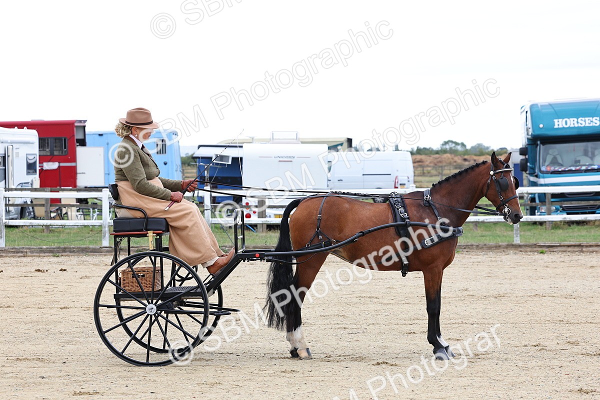 SBM_000320 - Class 2 - Exercise Vehicle 13.2hh & Under