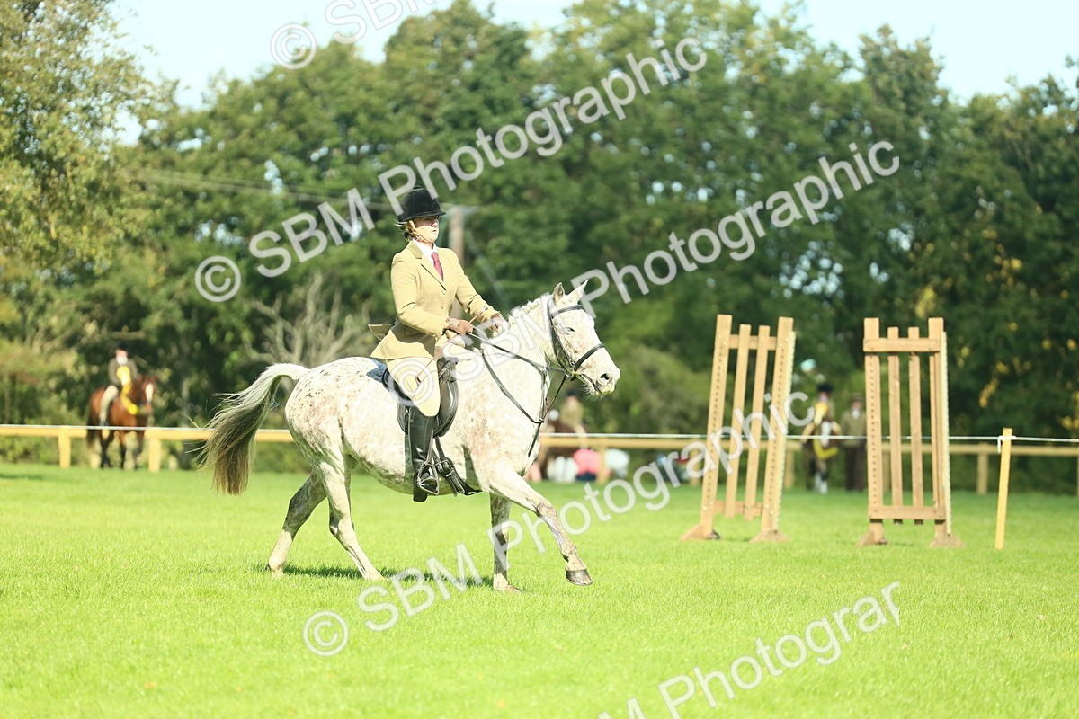 SBM_39241 - S29 - Novice & Newcomers Working Hunter Pony