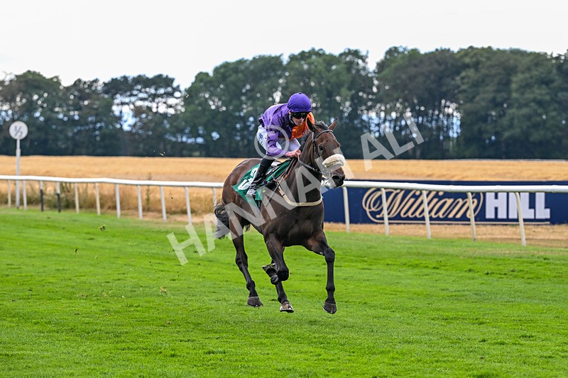 070826-Race 6-Great Profit-2171 - Race 6 16.40pm Country Music Night Here Next Friday 14th August Handicap