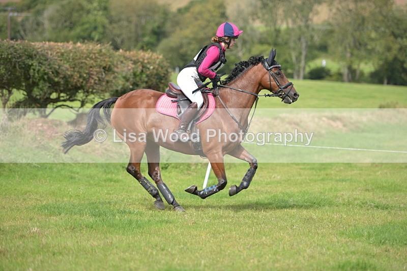 RAY_8802 - Class 2: Trekenning Open: Wall