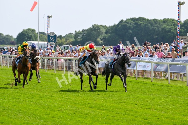 130625-Race 4-India Love-9223 - Race 4 3.35pm Juddmonte EBF Fillies' Restricted Novice Stakes