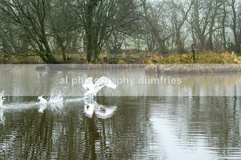  - Eskrigg Nature Reserve Lockerbie