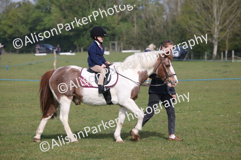 20260426-0285 - Class 30 - Tiny Tots Lead Rein