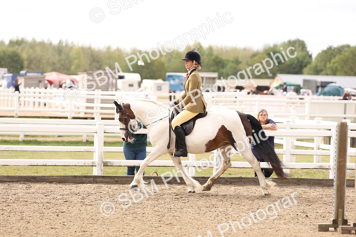 SBM_04277 - Class 54 - Riding Club Horse/Pony
