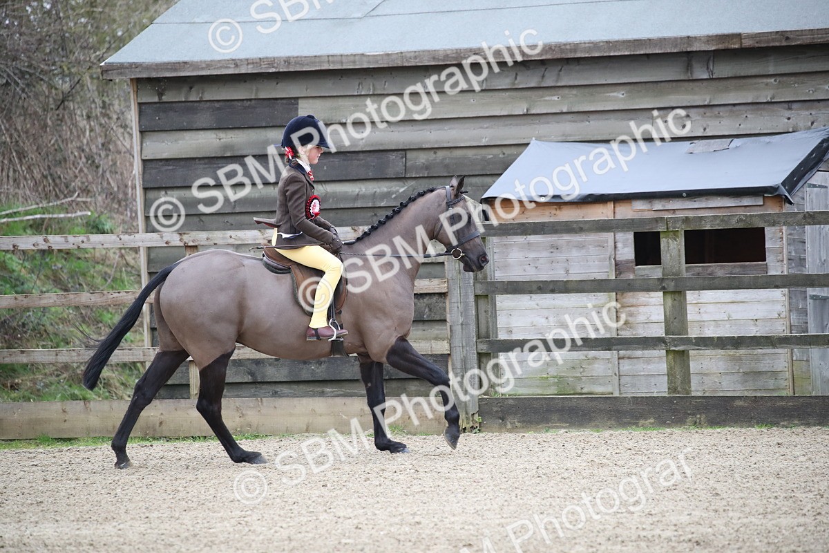 SBM_004628 - Class 5-9 - NPS In Hand-Show Hunter-Intermediate Ridden Inc Ridden Championship