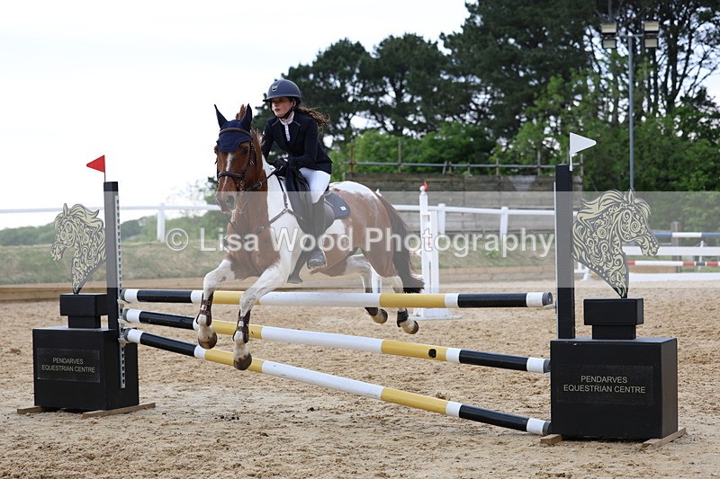 3E7A8551 - Class 14: Pony Newcomers/1m open