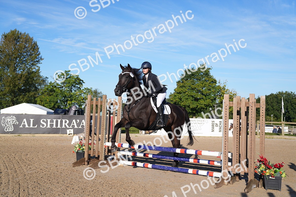 SBM_14058 - J59 - Clear Round - 65cm