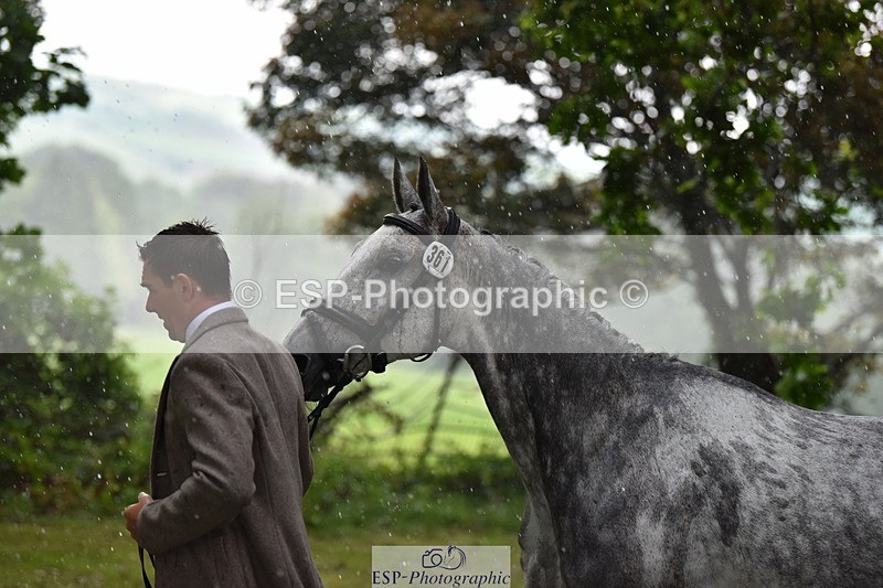 240522-152954-00385 - 361-FENIZIO-Max_Warburton