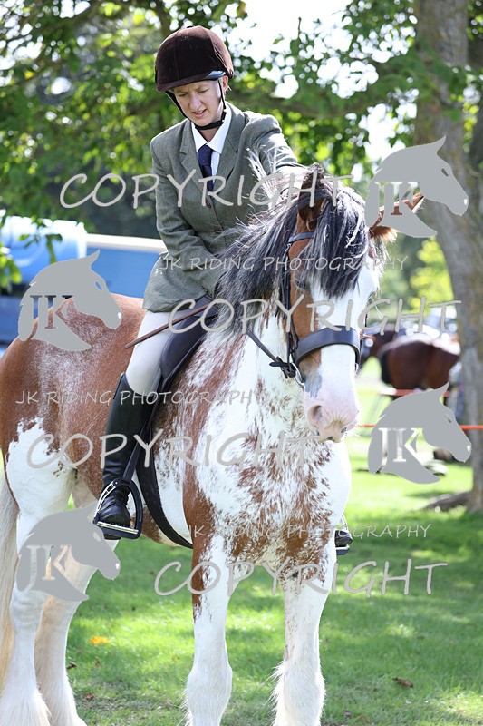 APP_3682 - Class 8 Ridden Class