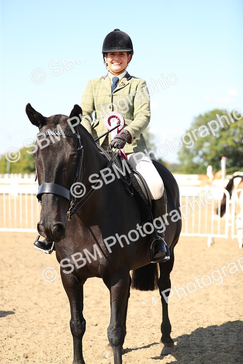 SBM_02396 - Class 43 Ridden Competition Horse/Pony