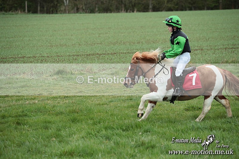 SHETPR 210425 221 - Shetland Ponies Paxford Races 21/04/25