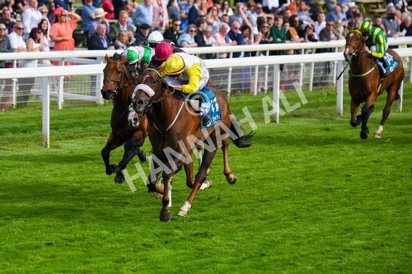 170523-Race 7-Kihavah-0959 - Race 7 5.15pm Stuey Weston & Friends Getting Out Handicap
