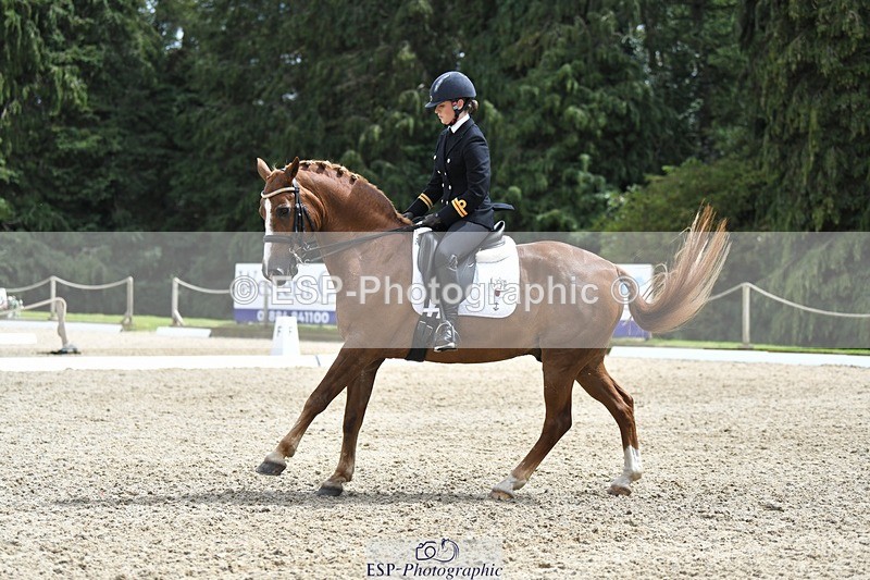 230812-141921-04664 - Cls 7 FEI PSG Bronze