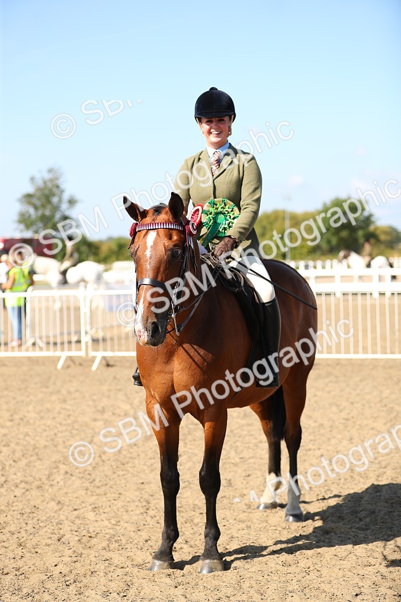 SBM_02372 - Class 43 Ridden Competition Horse/Pony