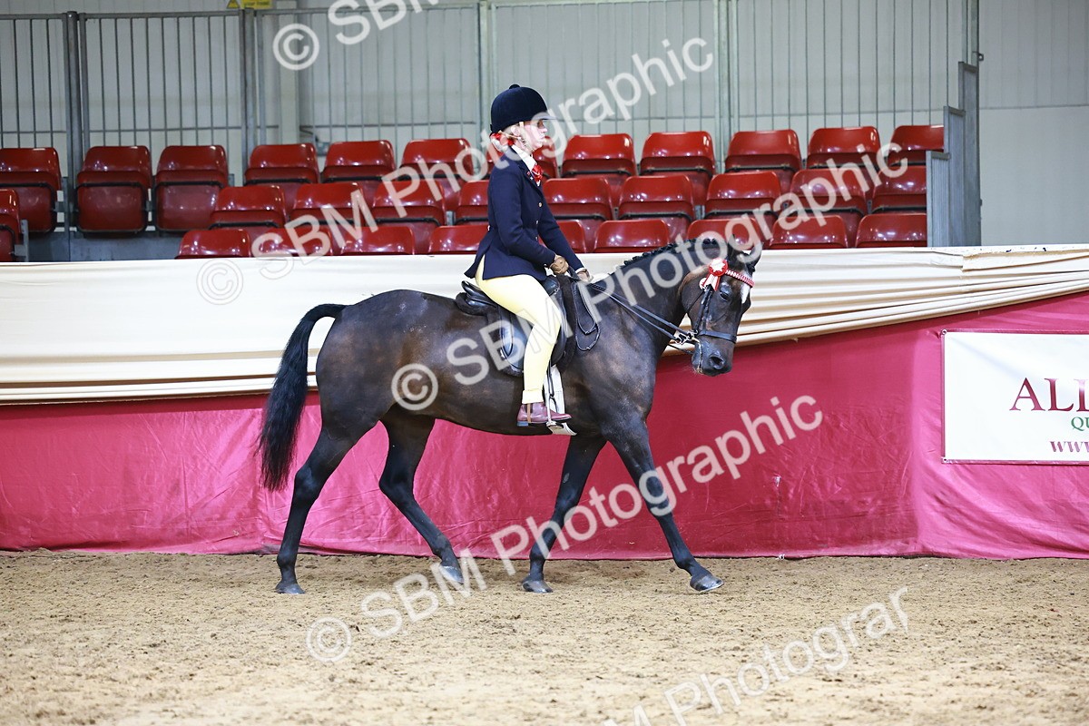 SBM_23235 - Class 904 - Supreme Final - Ridden Diamond