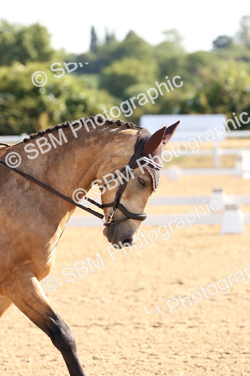 SBM_000075 - Intro 2 Warm Up