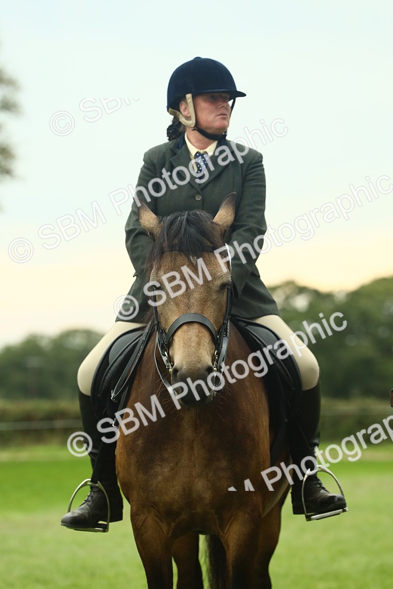 SBM_72274 - S60 - Mountain & Moorland Ridden Large Breeds