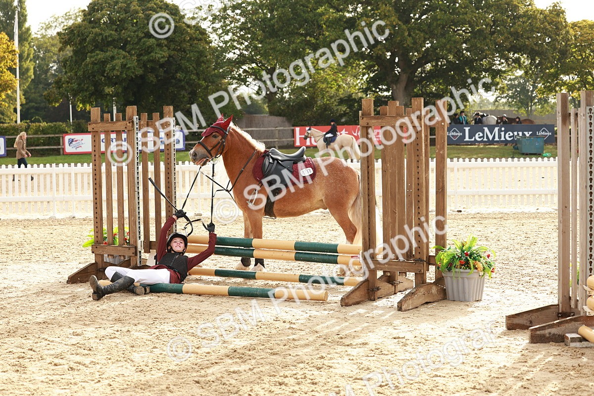 SBM_55701 - J11 - Junior Pony 50cm Championship