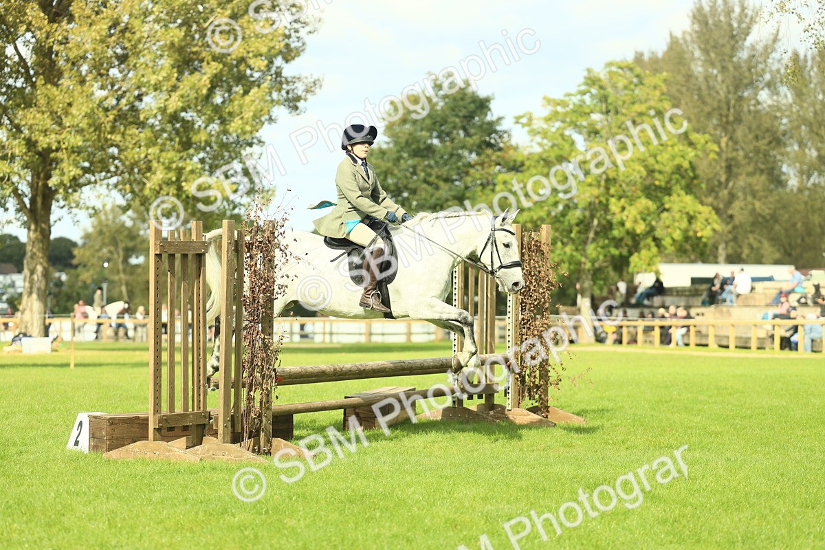 SBM_48000 - S32 - Novice & Newcomers Working Hunter