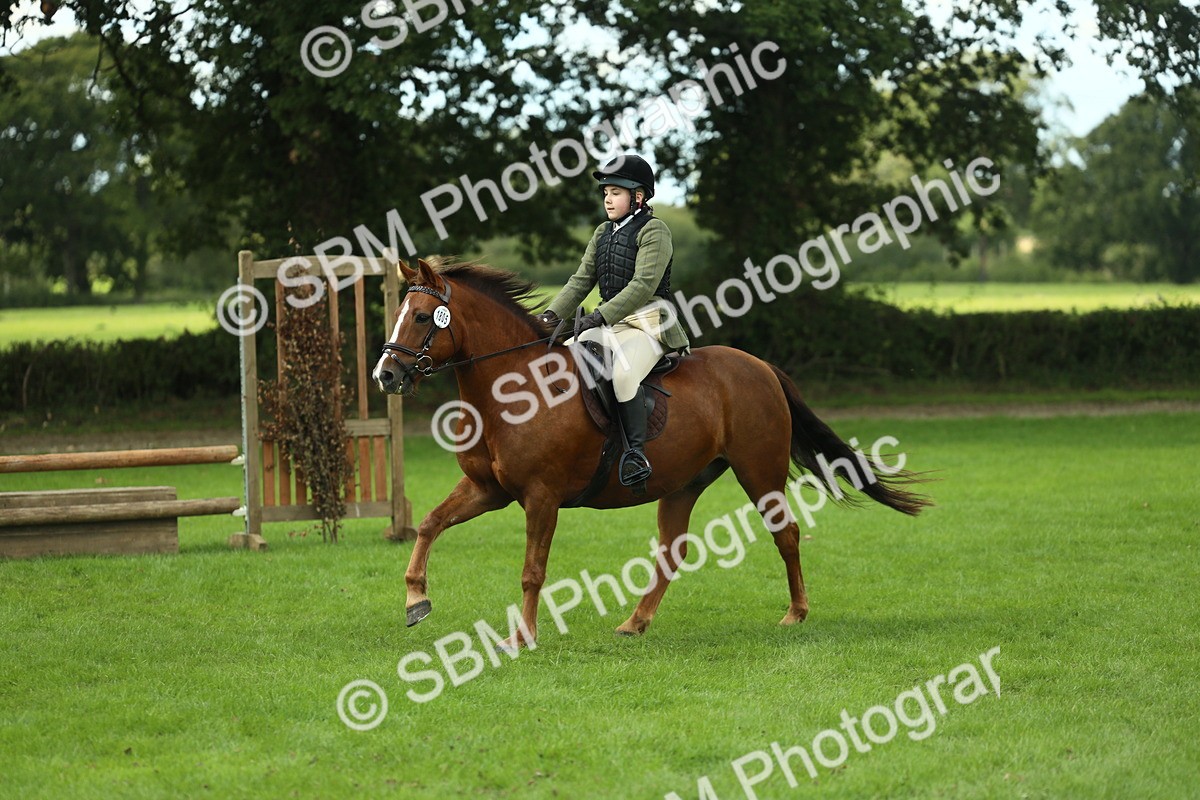 SBM_42892 - S30 - M&M Working hunter Pony