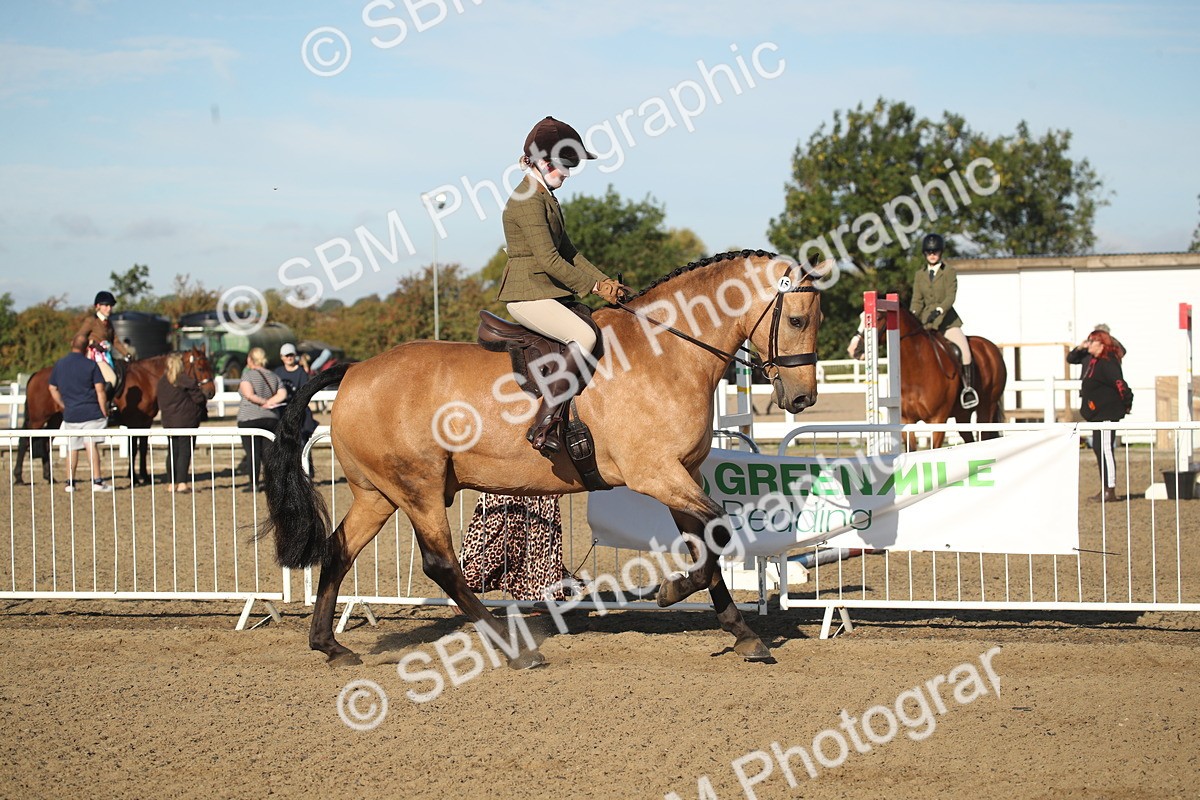 SBM_11302 - Class 501 -Riding Club Pony