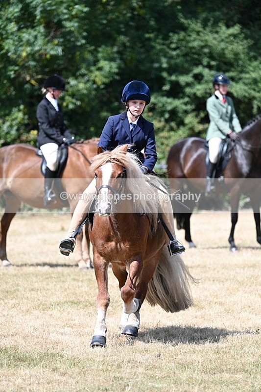 WJ7_3411 - Class 8 Ridden Veterans