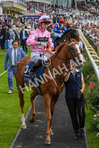 250823-Race 4-Live In The Dream-0561 - Race 4 3.35pm Coolmore Wootton Bassett Nunthorpe Stakes