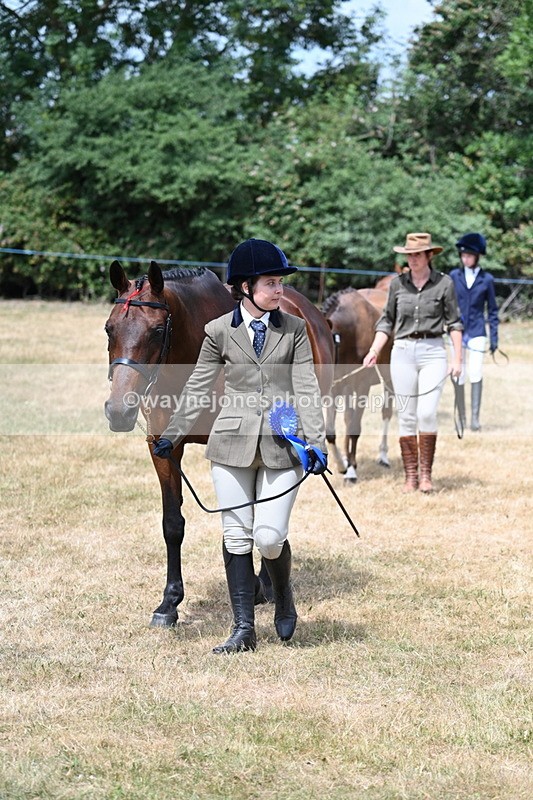 WJ7_2081 - Prettiest Mare Champs