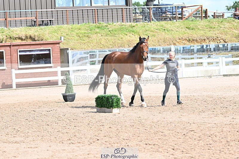 240717A-155227-03121 - Trot Up 3pm to 4pm