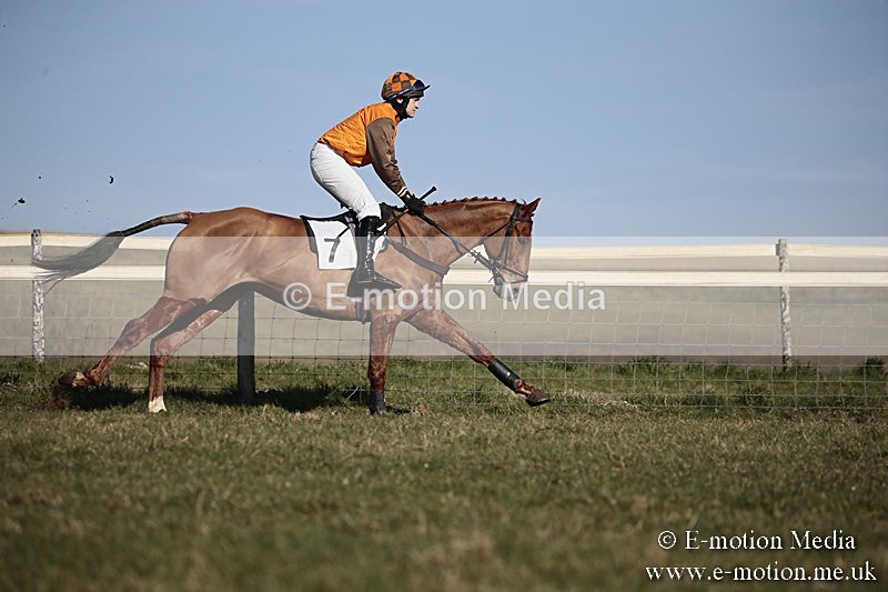 PtP 240218 471 - Vine & Craven Hunt Point-to-Point Barbury racecourse 24/02/18