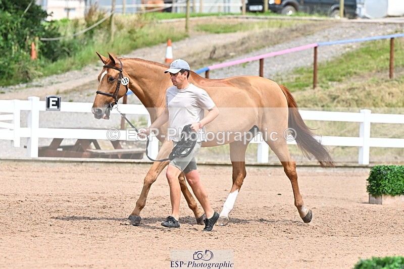 240718A-105319-01851 - Trot Up 1pm to 2pm